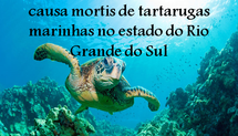Estudo retrospectivo de causa mortis de tartarugas marinhas no estado do Rio Grande do Sul