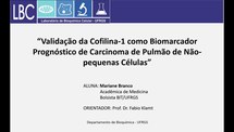 Validação do uso da proteína cofilina como biomarcador prognóstico de carcinoma de pulmão de não- pequenas células