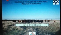 Avaliação de indicadores bioeconômicos do mercado da carne bovina do Rio Grande do Sul