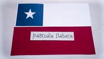 Pascuala Ilabaca