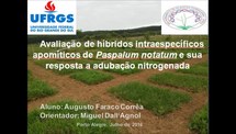 Avaliação de híbridos intraespecíficos apomíticos de Paspalum notatum e sua resposta a adubação nitrogenada