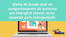 Efeito do fundo azul no comportamento de estresse em Zebrafish (&#8203;Danio rerio&#8203;) causado pela manipulação