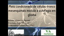 Meio condicionado de células-tronco mesenquimais modula a autofagia em gliomas