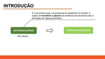 Produção de Isomalto-oligossacarídeos por Dextransucrase Imobilizada em Esferas de Quitosana