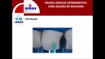 Resina Adesiva Experimental com Adição de Biovidro