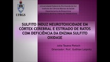 Sulfito induz neurotoxicidade em córtex cerebral e estriado de ratos com deficiência da sulfito oxidase 