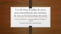 Uso do feno de palha de arroz para intensificação dos sistemas de cria na bovinocultura de corte