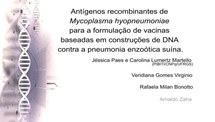 Antígenos recombinantes de Mycoplasma hyopneumoniae para a formulação de vacinas baseadas em construções de DNA contra a pneumonia enzoótica suína