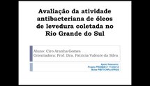Avaliação da atividade antibacteriana de óleos de leveduras coletadas no Rio Grande do Sul