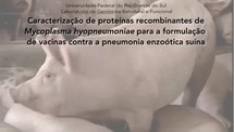 Caracterização de proteínas recombinantes de Mycoplasma hyopneumoniae para a formulação de vacinas contra a pneumonia enzóotica suína