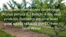Efeitos antiinflamatórios e antioxidantes do pêssego (Prunus persica (L.) Batsch) e dos seus produtos derivados em uma lesão geral aguda induzida por CCl4 em ratos Wistar