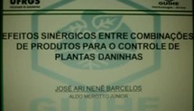 Efeitos sinérgicos entre combinações de produtos para o controle de plantas daninhas