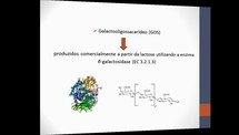 OBTENÇÃO DE GALACTOOLIGOSSACARÍDEOS UTILIZANDO β-GALACTOSIDASE IMOBILIZADA