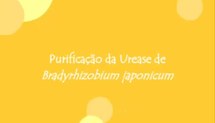 Purificação da urease de Bradyrhizobium japonicum