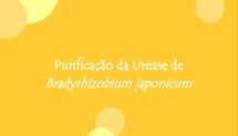 Purificação da urease de Bradyrhizobium japonicum