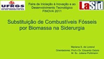 Substituição de Combustíveis Fósseis por Biomassa na Siderurgia